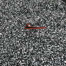 Camisa Pré-Jogo Corinthians 2024/25